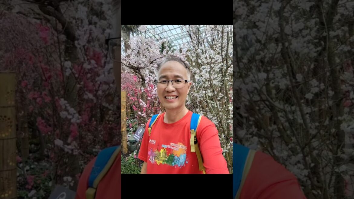 ๐ธ Sakura 2025: A Tale of Blossoms & Castles! ๐ธ #gardensbythebay ๐ธ Sakura 2025: A Tale of Blossoms & Castles! ๐ธ #gardensbythebay