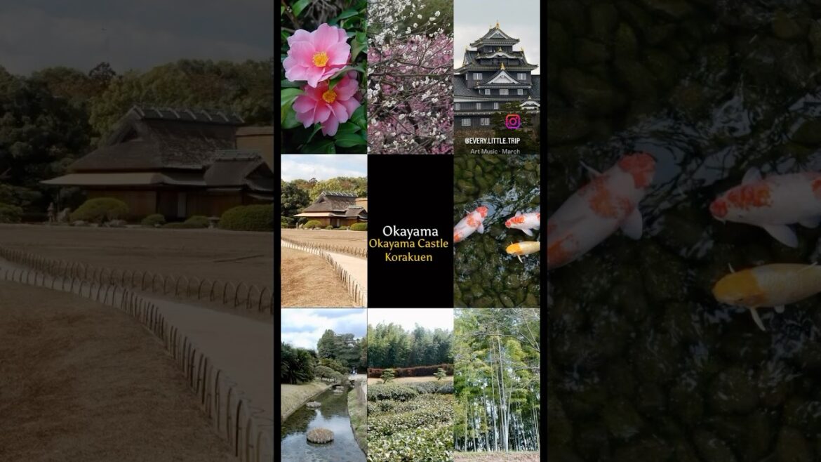 Okayama in March: Okayama Castle and Korakuen #japan #travel #korakuen #okayama #castle #garden