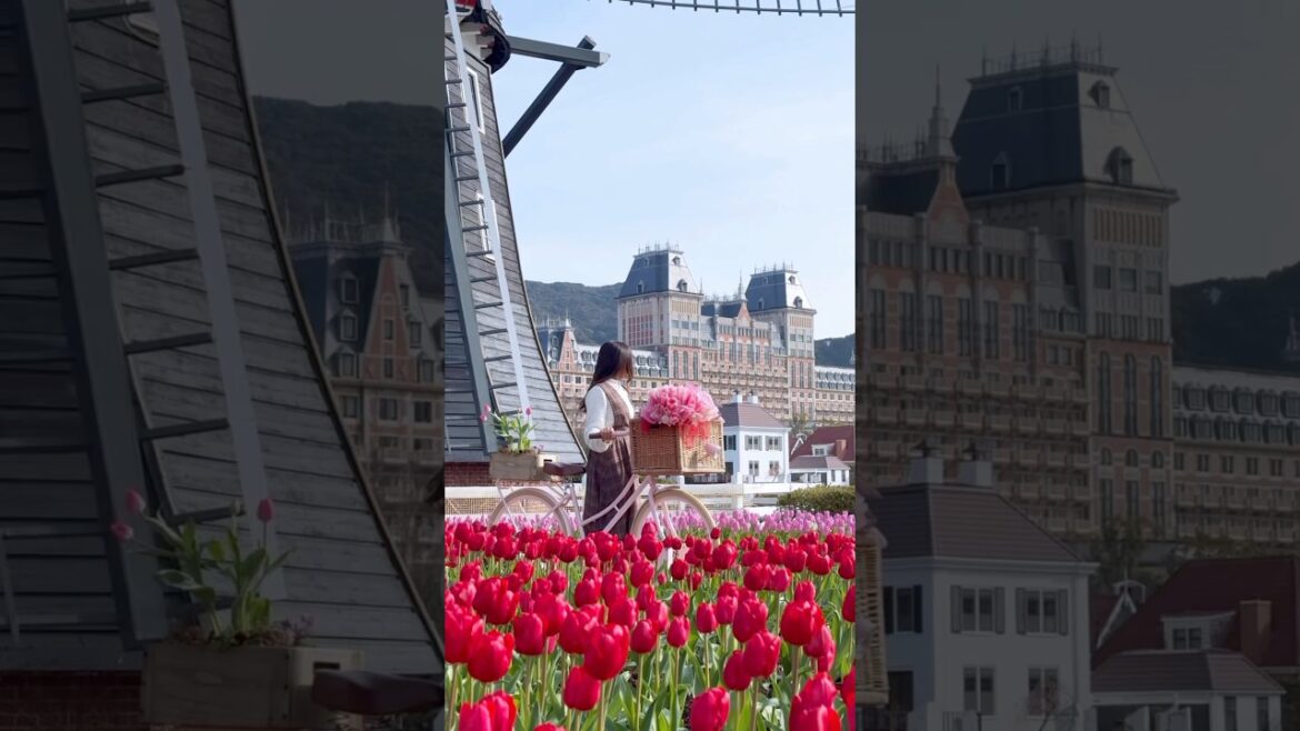 Spring whispers through every tulip 🌷🍃 #lifeinjapan #nagasaki