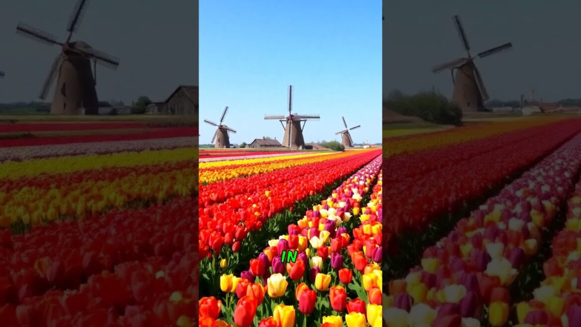 Discover the Most Amazing Spring Destinations to Visit Discover the Most Amazing Spring Destinations to Visit