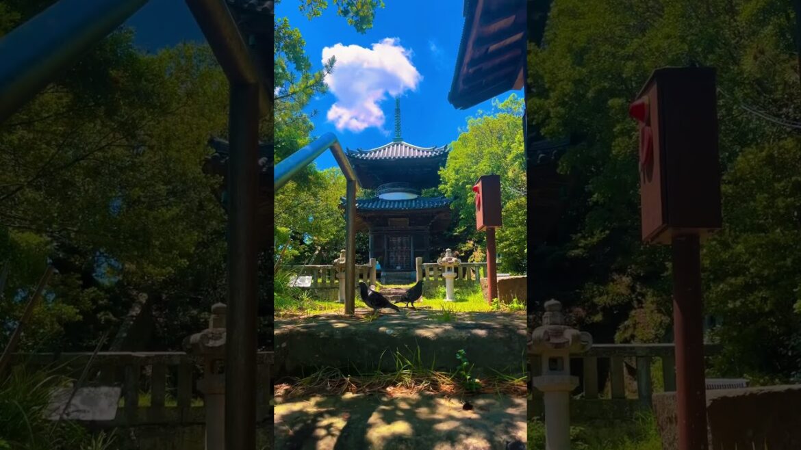 Wakayama City / 和歌山市 #travel #wakayama #和歌山 #anime