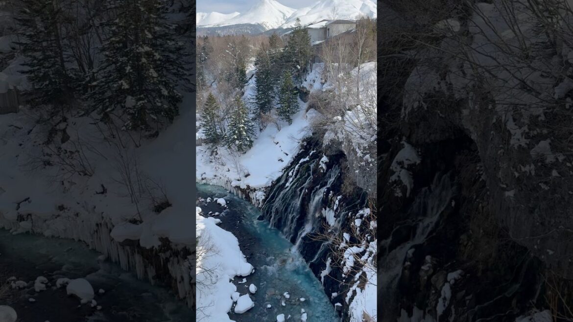 🇯🇵Can you hear the sounds of nature? 🗻 #japan #travel #biei