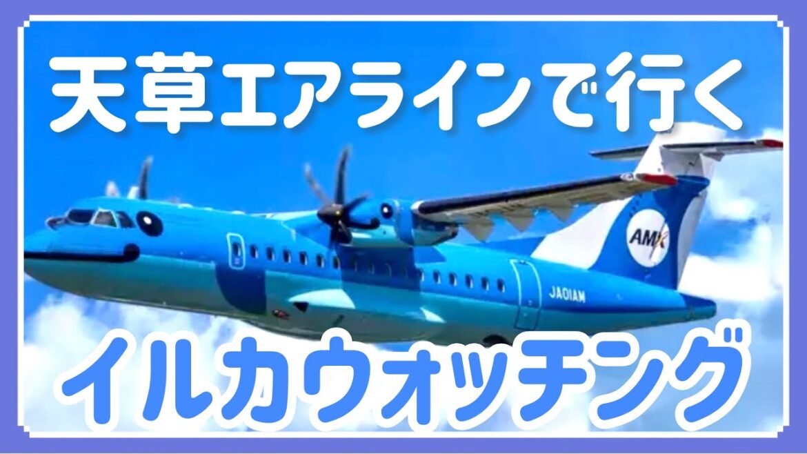 天草エアラインで行くイルカウォッチング