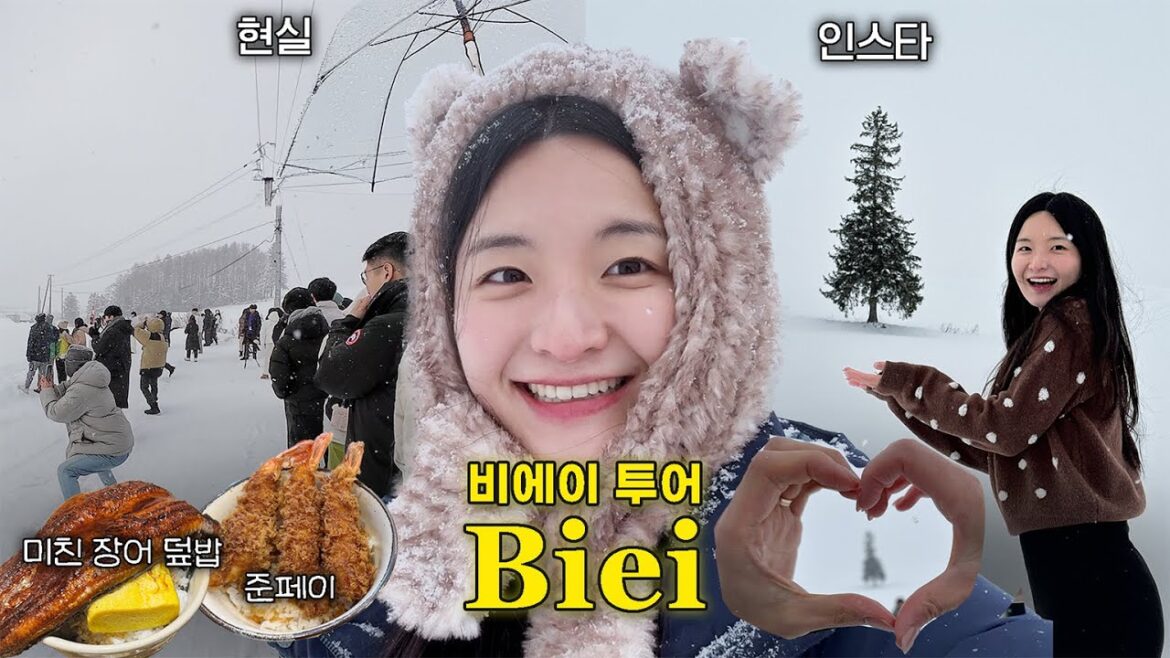 ๐ฏ๐ต 1๋
์น ๋ ๋ค ๋ดค๋ค๐จ๏ธ ํ์นด์ด๋ ์ฟํฌ๋ก ๋น์์ด ํฌ์ด ํ์ค + ์์ง ํ๊ธฐ๐๐ปโโ๏ธ | ๋น์์ด ๋ง์, ํฌ๋ฆฌ์ค๋ง์คํธ๋ฆฌ, ์ฌ๊ณ์ฑ์ ์ธ๋ ๋์ฐ๋งค, ํฐ์์ผ ํญํฌ, ์คํ์ด | ์ฟํฌ๋ก 3ํธ ๐ฏ๐ต 1๋
์น ๋ ๋ค ๋ดค๋ค๐จ๏ธ ํ์นด์ด๋ ์ฟํฌ๋ก ๋น์์ด ํฌ์ด ํ์ค + ์์ง ํ๊ธฐ๐๐ปโโ๏ธ | ๋น์์ด ๋ง์, ํฌ๋ฆฌ์ค๋ง์คํธ๋ฆฌ, ์ฌ๊ณ์ฑ์ ์ธ๋ ๋์ฐ๋งค, ํฐ์์ผ ํญํฌ, ์คํ์ด | ์ฟํฌ๋ก 3ํธ