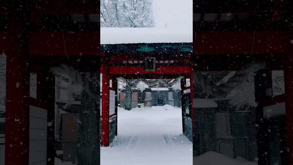 Snow Scene in Japan☺️❄️✨#japan #japantravel #japantravel  #hagurosan #akita #saga #snow #niigata