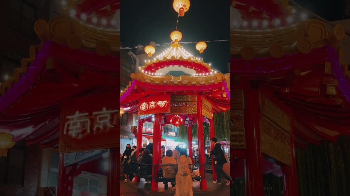 Nankinmachi (Hyogo) / 南京町神戸✨#神戸 #japan #japantravel #南京町 #kobe #三ノ宮 #中華街