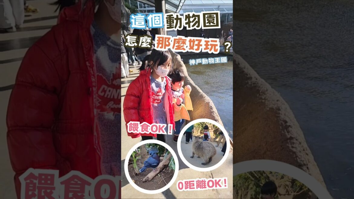 關西親子景點推薦-神戶動物王國! 關西親子景點推薦-神戶動物王國!