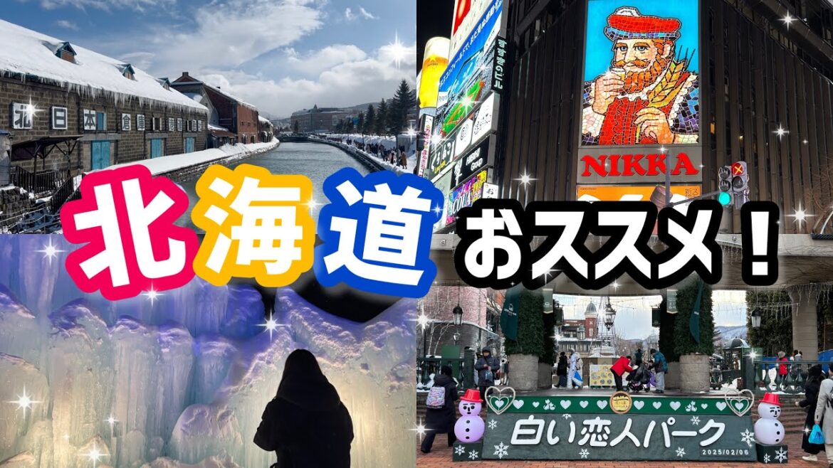 ここを抑えれば間違いなしの北海道旅行!〜車なしでも楽しめる!2泊3日の幸せの旅〜 ここを抑えれば間違いなしの北海道旅行!〜車なしでも楽しめる!2泊3日の幸せの旅〜