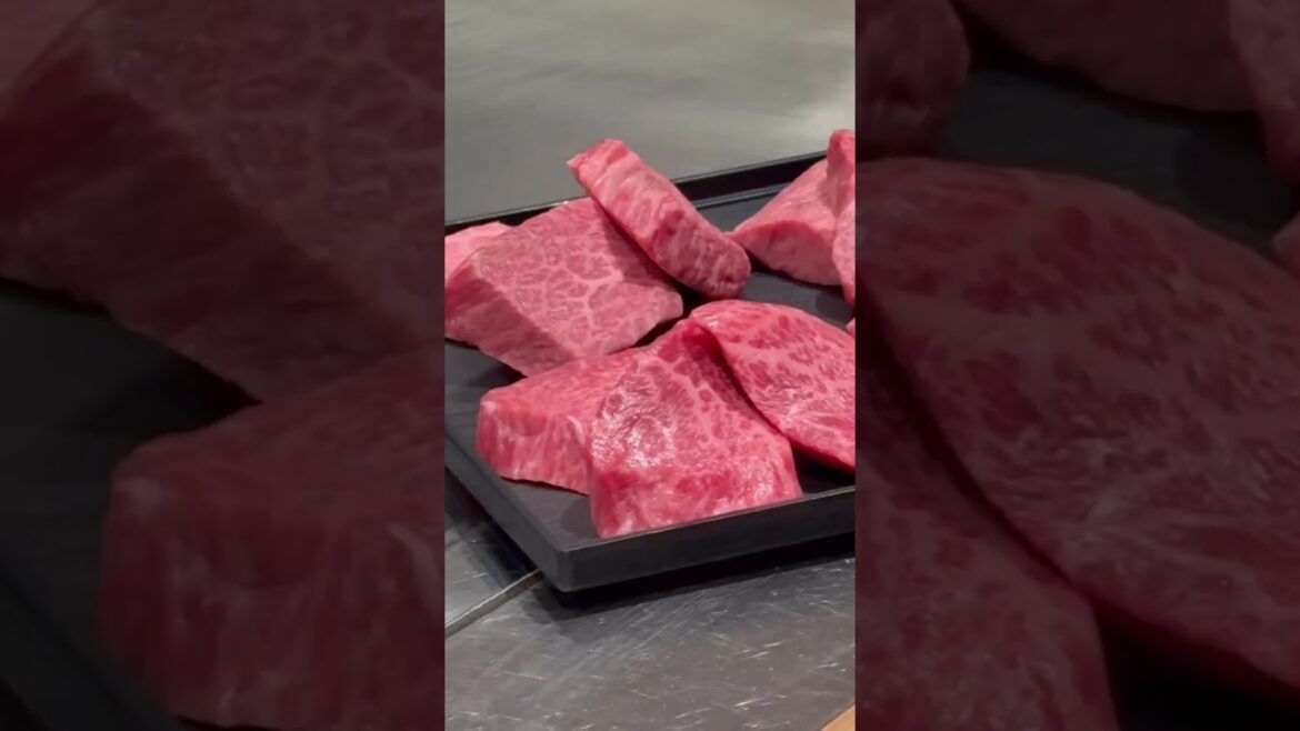 Would You Spend $100 on a WAGYU STEAK Dinner in TOKYO? #wagyu #tokyo Would You Spend $100 on a WAGYU STEAK Dinner in TOKYO? #wagyu #tokyo