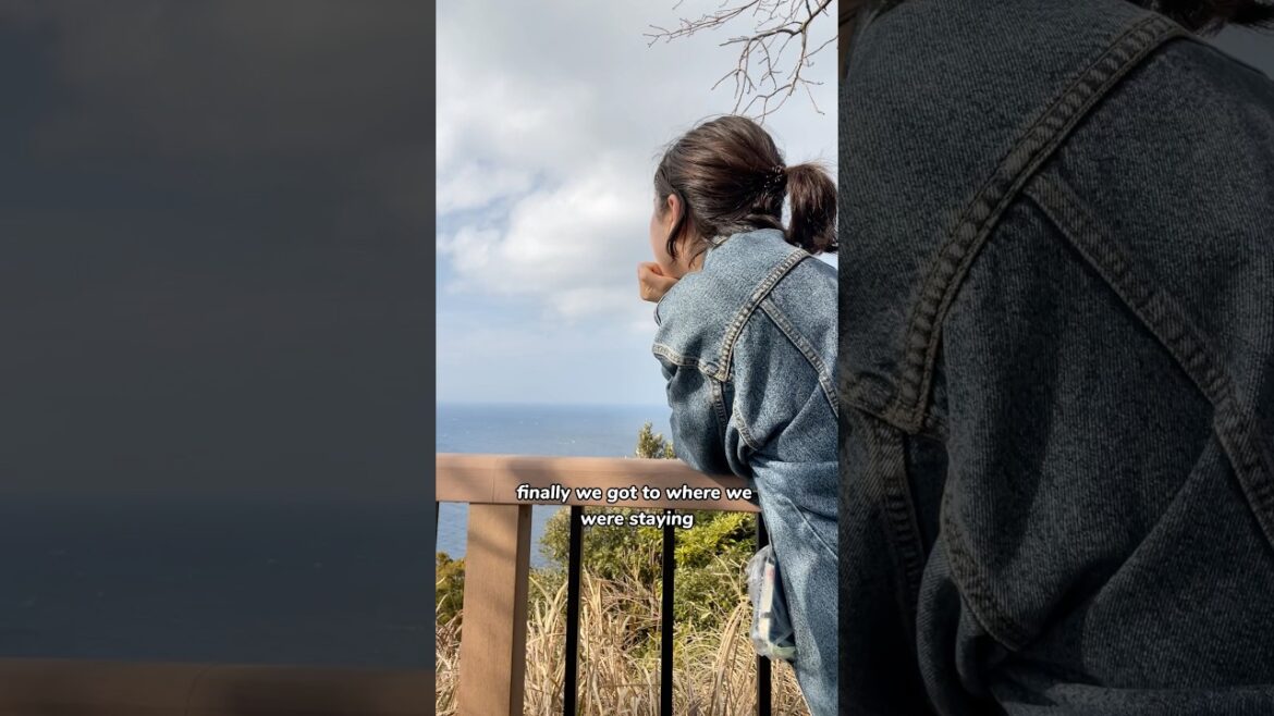 short road trip to IZU, japan