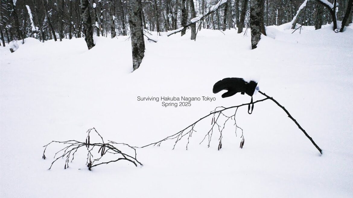 NEW Travel Diary - Surviving Hakuba, Snowboarding, Nagano monkeys and random bits of Tokyo - Feb 25