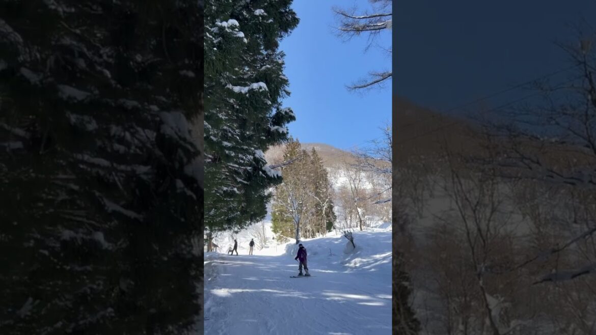 【JAPAN】Winter is Ski Season! - Hakuba Ski Redort