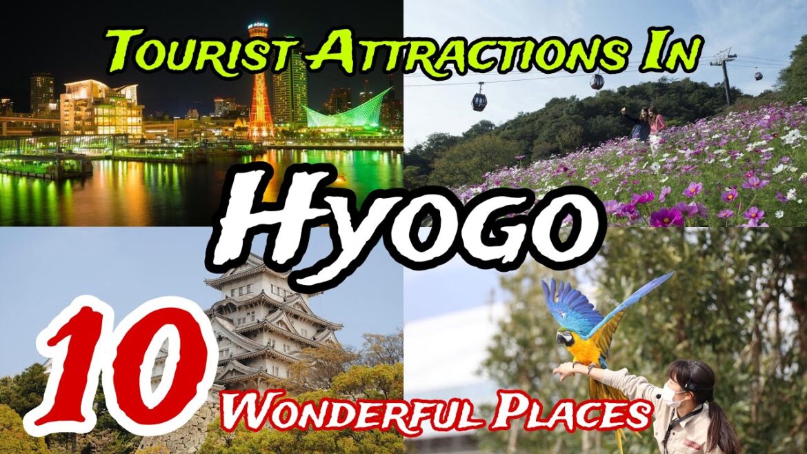 Top 10 Best Tourist Places to Visit in Hyogo | Japan 🇯🇵 🤩