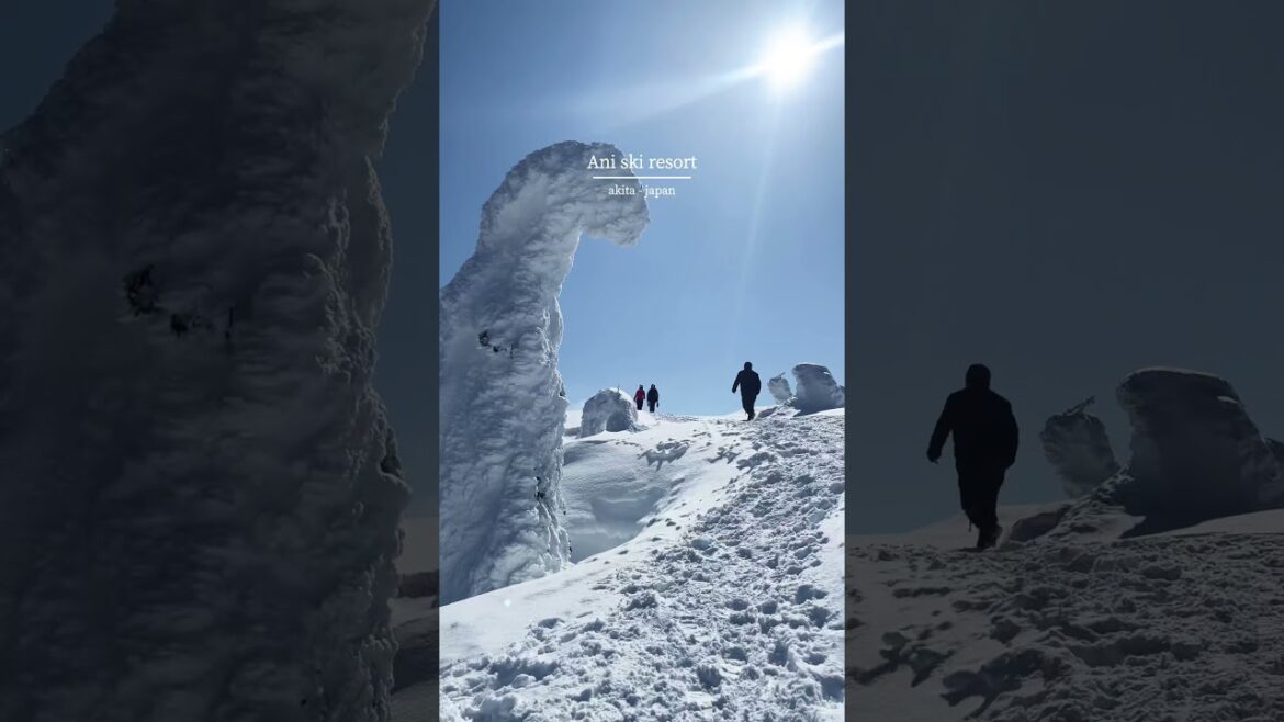 森吉山 阿仁スキー場 2025年3月30日まで営業！4月は土日祝のみ営業予定(雪がなくなり次第終了)#akita #japan #スキー場 #北秋田市 #森吉山 #阿仁 #ゴンドラ #japow