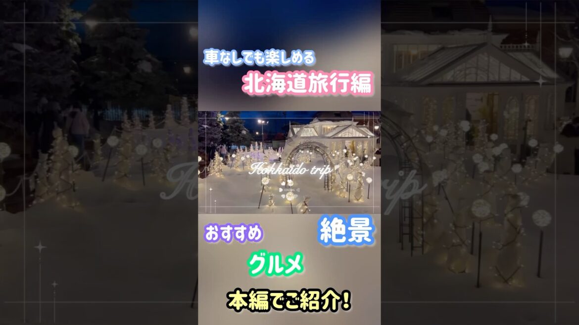 北海道旅行にいくしかない！#北海道旅行 #新千歳空港 #北海道 #札幌 #vlog