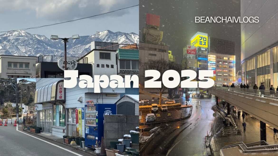 Japan Week 1: Tokyo, Nikko & Sendai