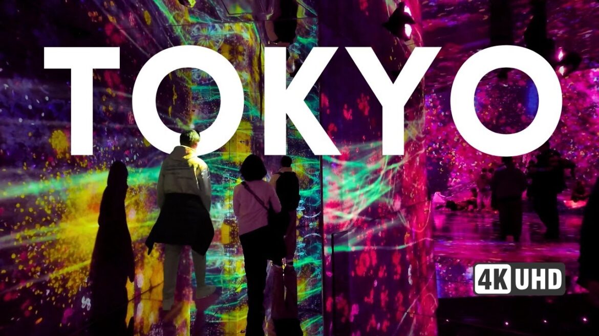 TOKYO, JAPAN Part 2 | How We Made the Most of Our Trip inc. Asakusa, Shinjuku & Borderless π―π΅ (4K) TOKYO, JAPAN Part 2 | How We Made the Most of Our Trip inc. Asakusa, Shinjuku & Borderless π―π΅ (4K)