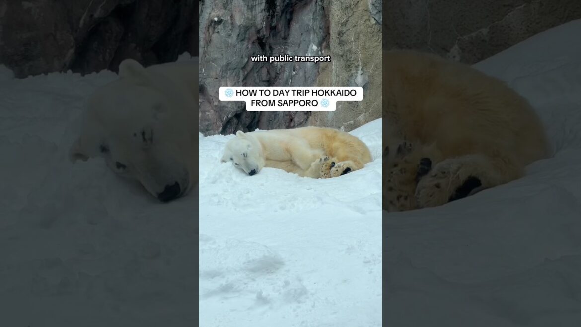 Must Do Hokkaido Day Trip from Sapporo