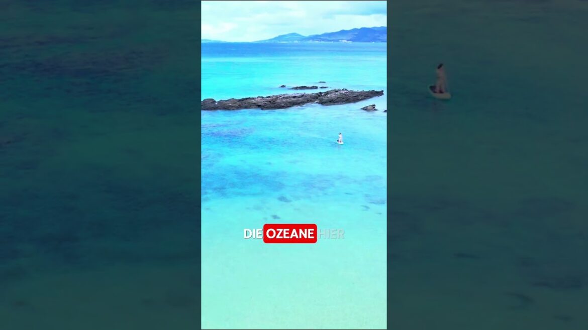 🌊 Okinawa – Wo die Natur atmet und das Meer Geschichten flüstert 🌿✨