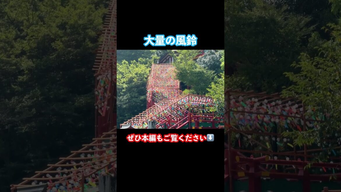【佐賀観光】神社にある風鈴が美しすぎる！ #佐賀観光 #佐賀旅行