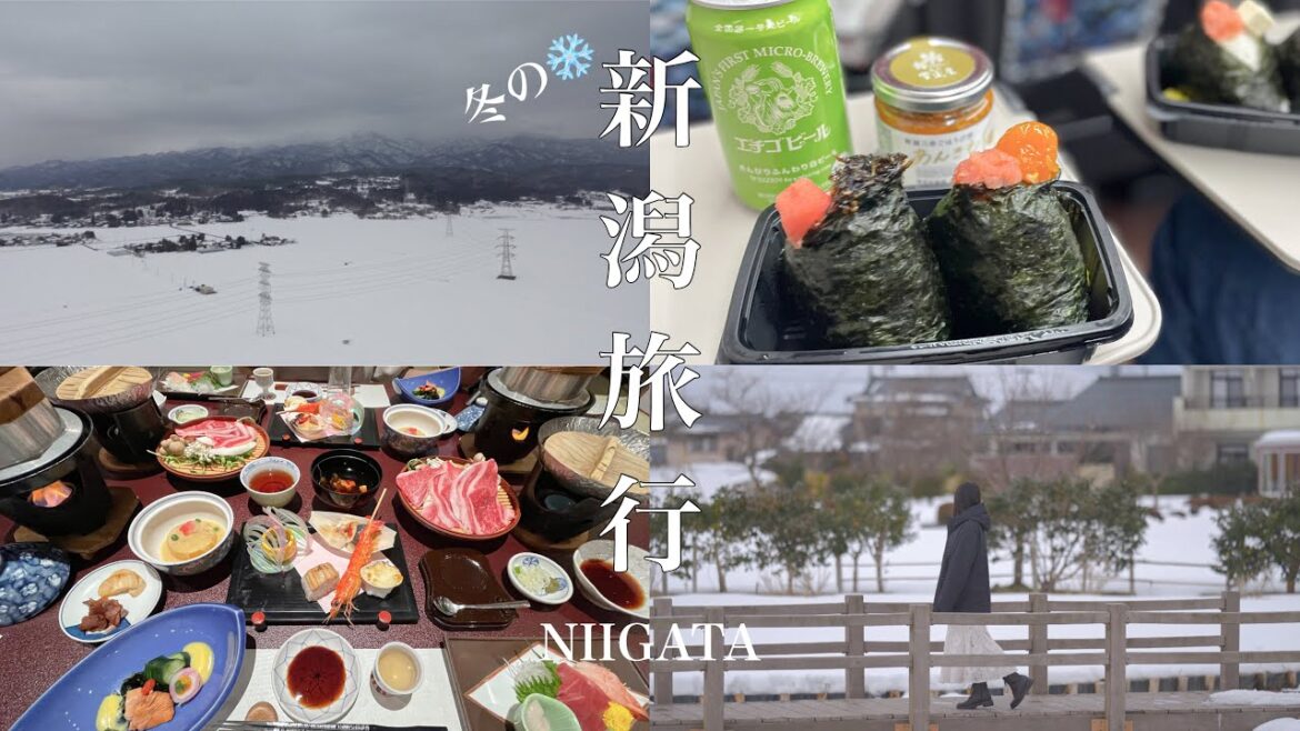 [新幹線代無料!?]JREポイントで行く冬の新潟旅行🌾1泊2日でグルメも温泉も大満喫！