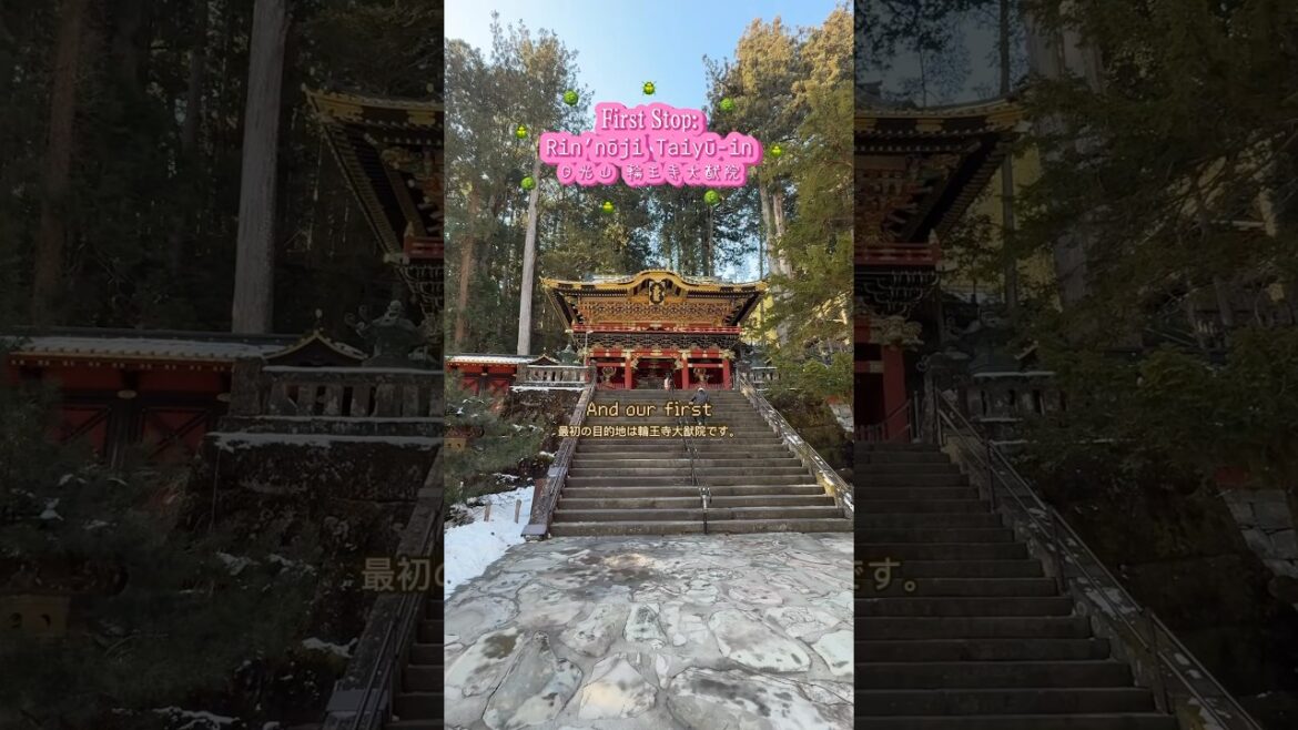 Hakone who? #japan #tokyo #travel