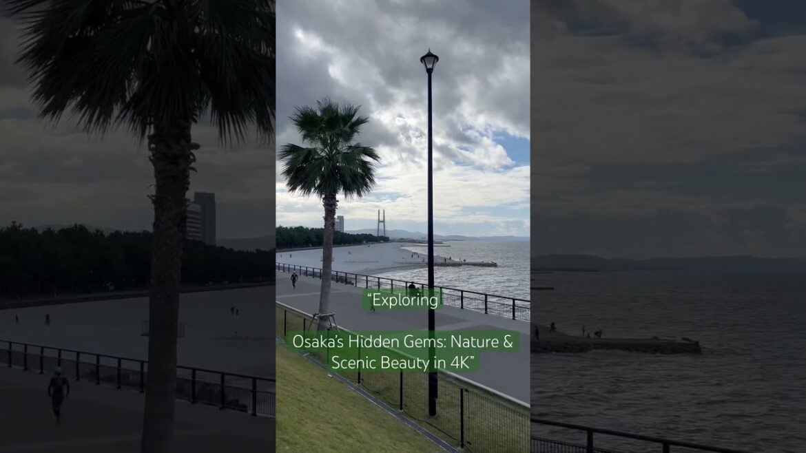 “Discover Osaka’s Natural Beauty 🌴✨ | Scenic Views in 4K #Osaka #TravelJapan #Nature”