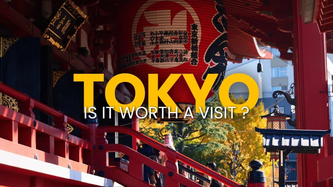 Is Tokyo Worth the Trip? Our Impressions Between Spring, Summer, and Autumn in Japan