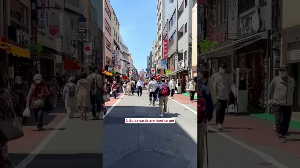 🚨 3 Things You NEED to Know Before Your Japan Trip! 🚨