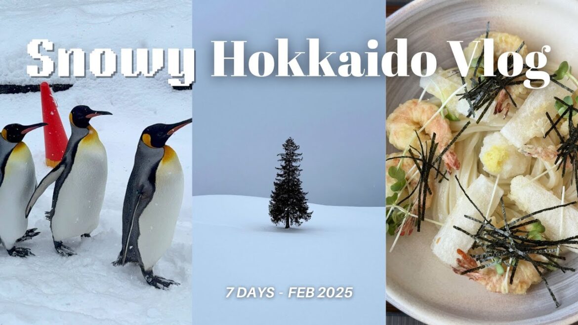 Snowy Hokkaido Winter Vlog❄️: 7 Days in Sapporo, Otaru, Niseko, Asahikawa & Biei☃️🏂🧣 2025