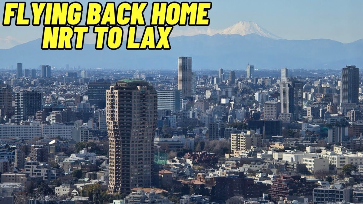 Narita to Lax going home and having SD card issues Tokyo Japan 2/13/2025 Narita to Lax going home and having SD card issues Tokyo Japan 2/13/2025