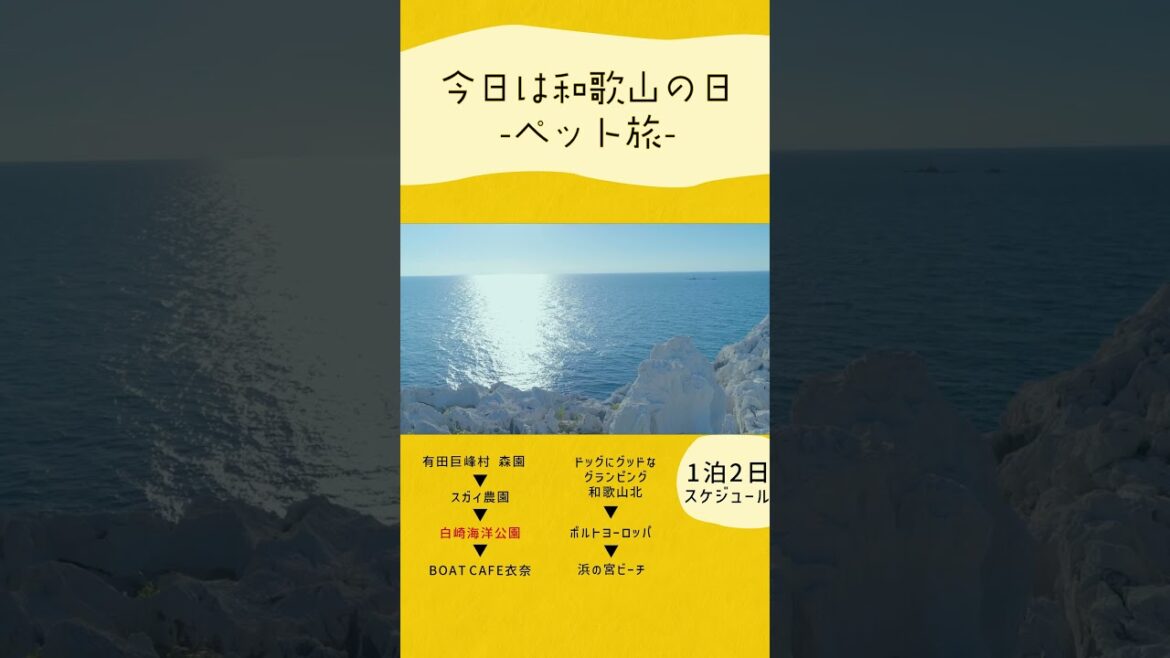 今日は和歌山の日　～ペット旅～