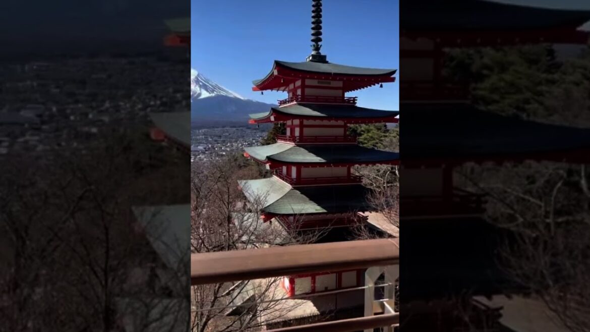 MOUNT FUJI’S BEST VIEW #mtfuji #fuji #tokyo #japan #incredible #view #explore #shorts #japanfinds