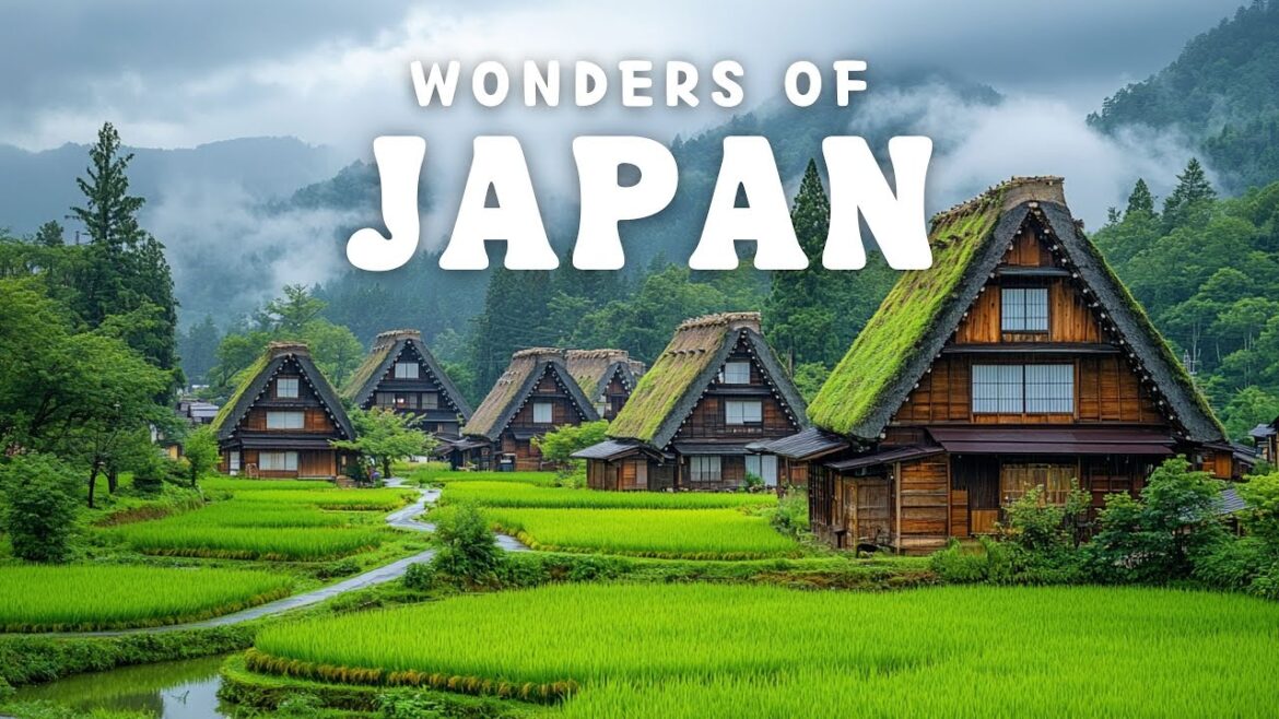 Wonders of Japan | Unlock the Secrets of Japan’s Changing Seasons | Travel Video 4K