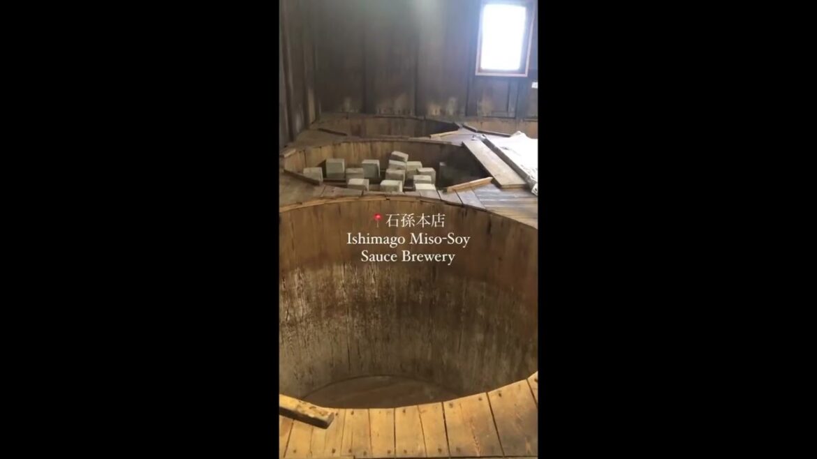 Southern Akita Tour 2024