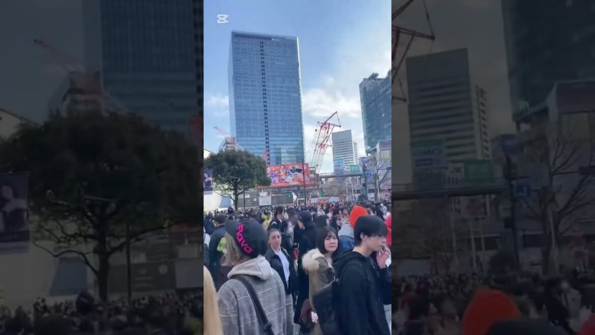 🍣The Streets of Tokyo, Japan 🇯🇵 ￼#travel #japan #tokyo #street