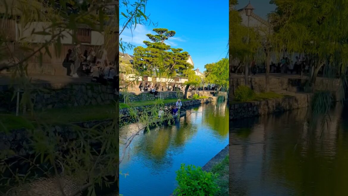Kurashiki: Chuyến Đò Bí Ẩn! 🤔 #shorts #dulich #nhatban #phoco #kurashiki #okayama