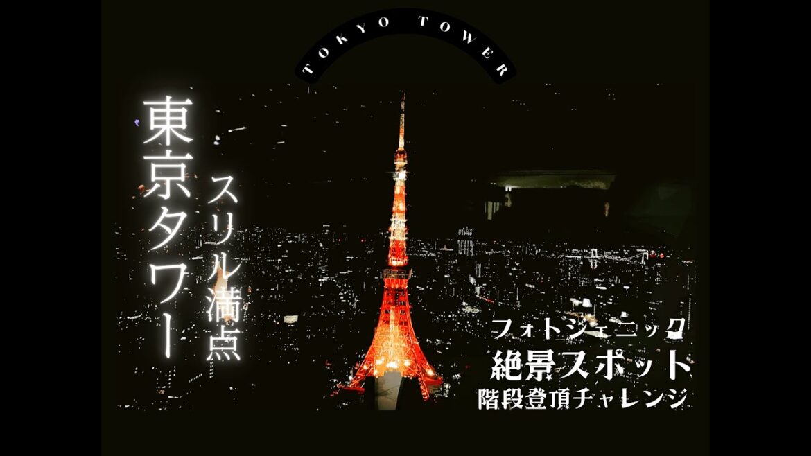 【富士山×東京タワー】日帰り絶景旅🗻✨ 河口湖の神秘＆都会の夜景を完全収録！｜「富士山の絶景と都会の光｜東京タワーから河口湖まで1日旅✨」