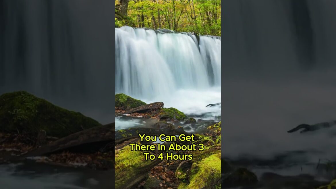 Aomori in a Flash: Top Travel Tips!