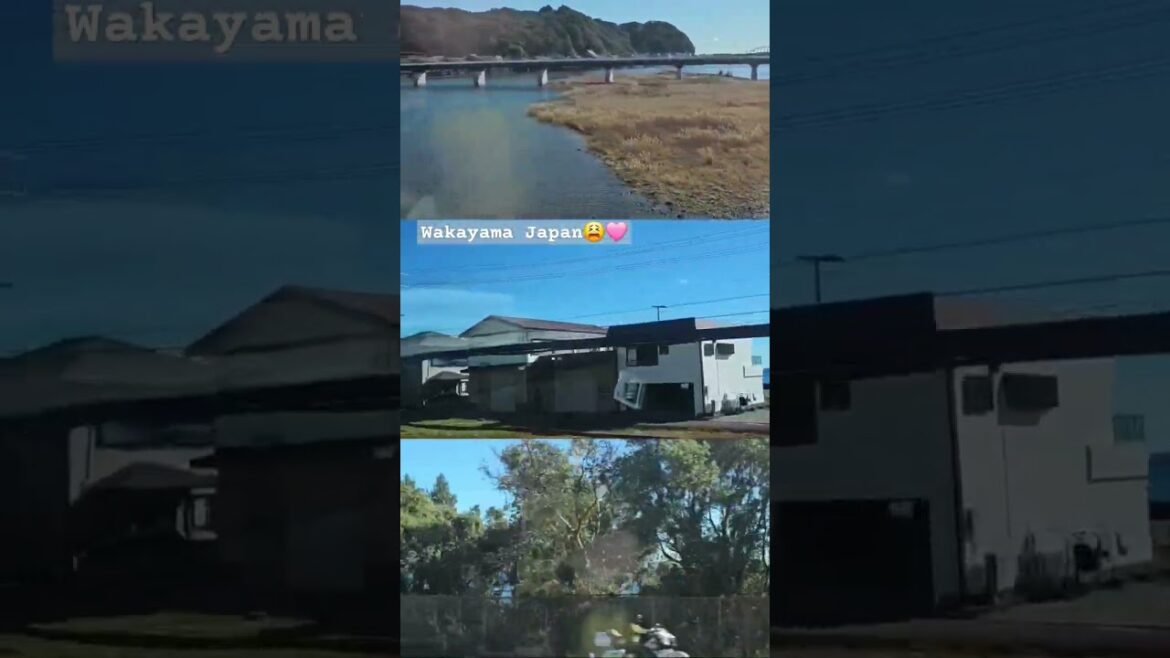 π Wakayama Train Journey β Nature, Coastlines & Pure Serenity! πβ¨ π Wakayama Train Journey β Nature, Coastlines & Pure Serenity! πβ¨