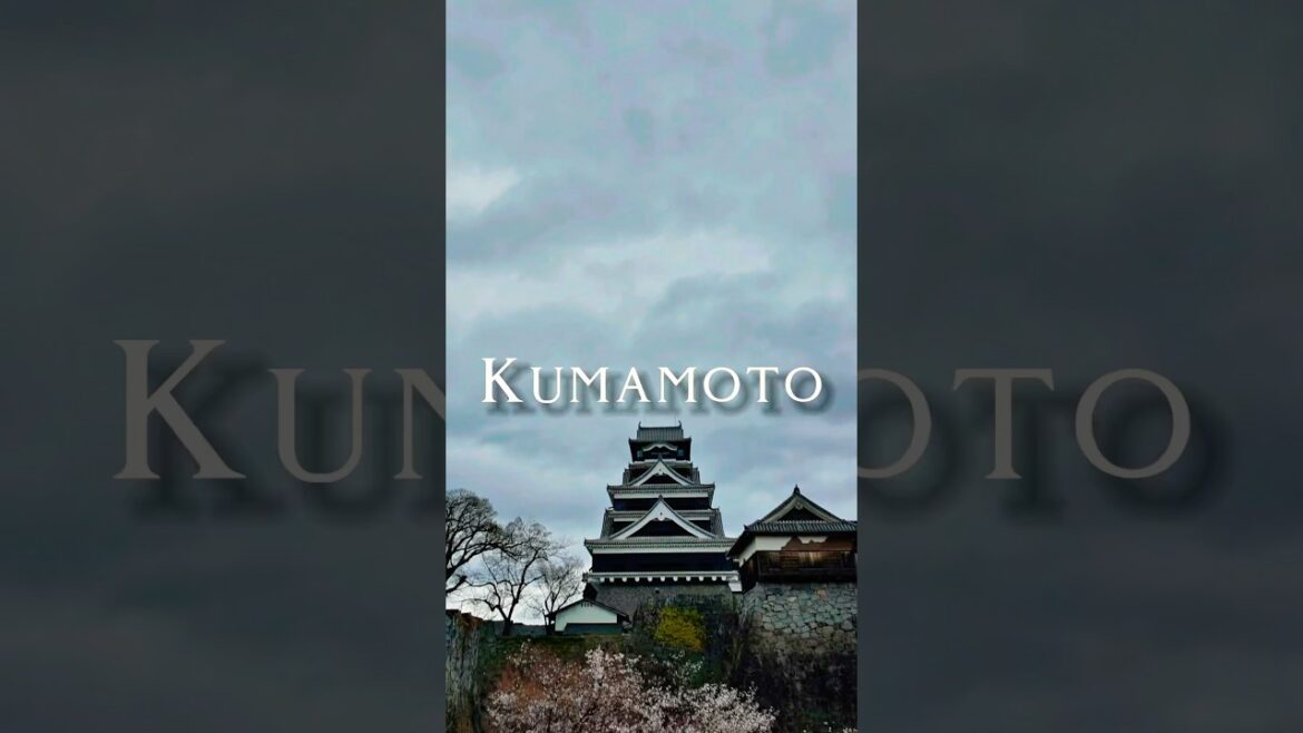 Kumamoto 🐻❤️ #Kyushu #Kumamotocastle #Kumamoto #Kumamon #japanliebe #suizenji #japanreisen Kumamoto 🐻❤️ #Kyushu #Kumamotocastle #Kumamoto #Kumamon #japanliebe #suizenji #japanreisen