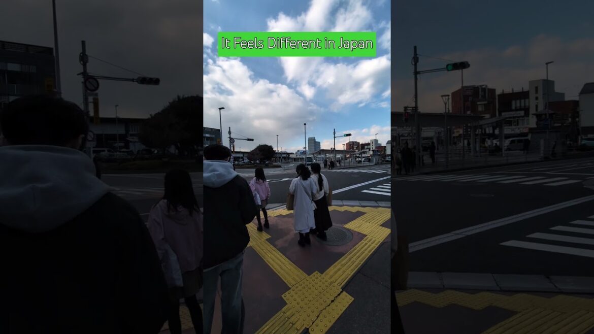 Feels Like Everything is in Order in Japan