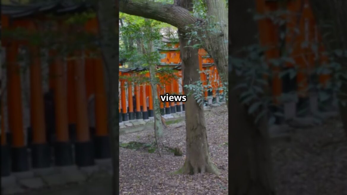 Top 5 Must-Visit Places in Japan #japan #travel #traveltojapan #top5places #japanese Top 5 Must-Visit Places in Japan #japan #travel #traveltojapan #top5places #japanese