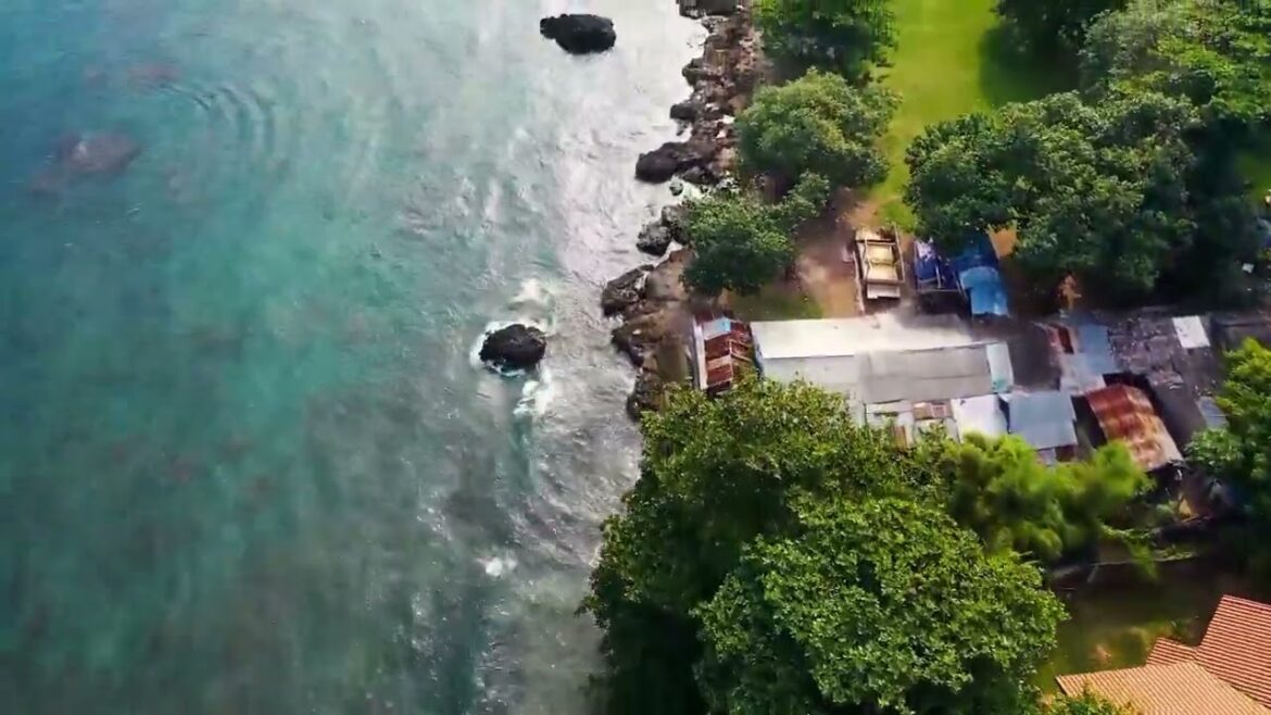 travel vlog , Ultimate Japan Travel Guide 2024: Tips, Destinations, & Solo Adventures! travel vlog , Ultimate Japan Travel Guide 2024: Tips, Destinations, & Solo Adventures!