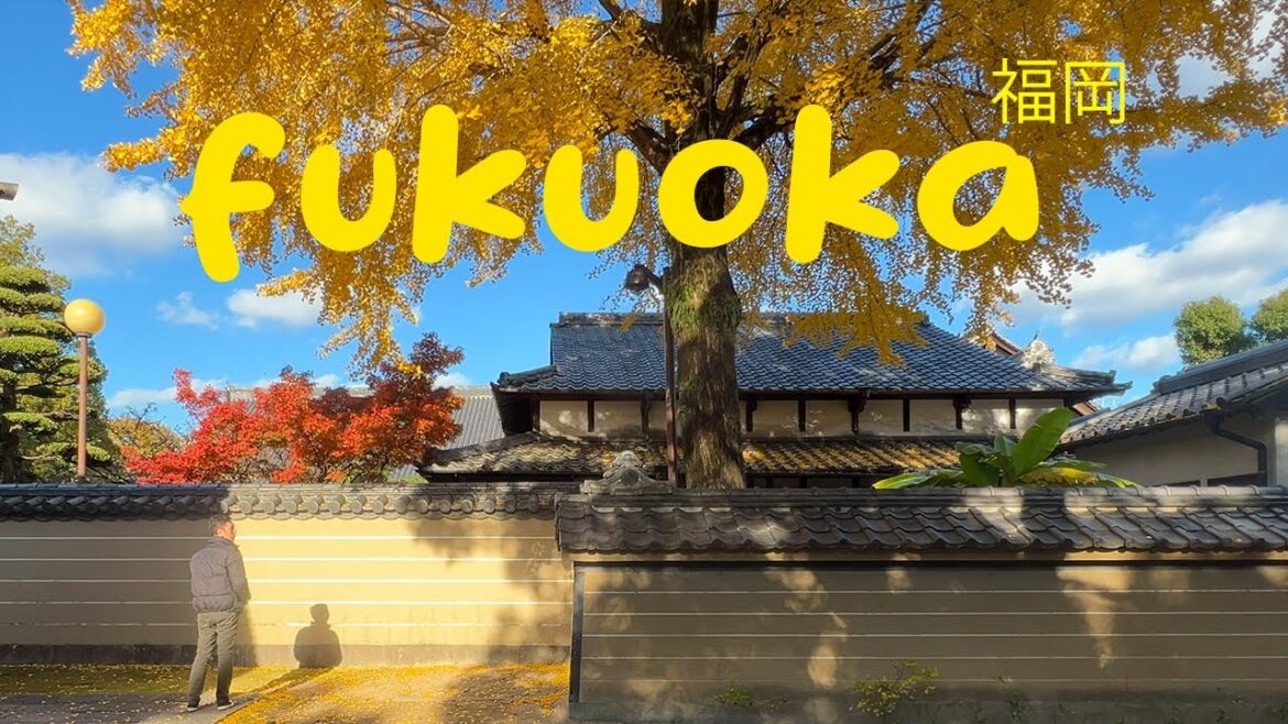Is Fukuoka Japan’s Most Underrated City? Watch This Before You Visit!