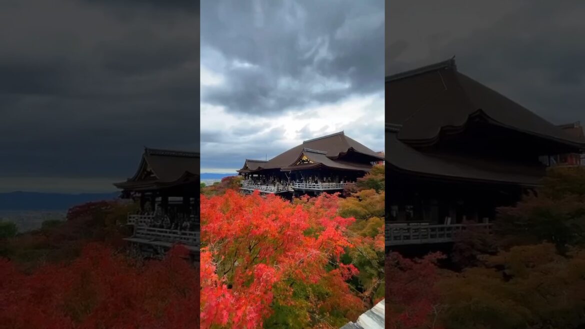 Kyoto in a Flash: A Glimpse of Japan's Timeless Beauty
