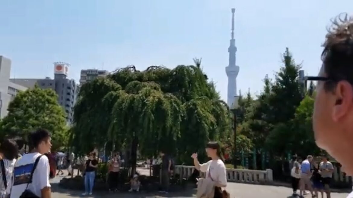 Tokyo is awesome don’t go in August! #tokyo2024 #hotsummer #tokyo #temples | pete renault trvl log Tokyo is awesome don't go in August! #tokyo2024 #hotsummer #tokyo #temples | pete renault trvl log