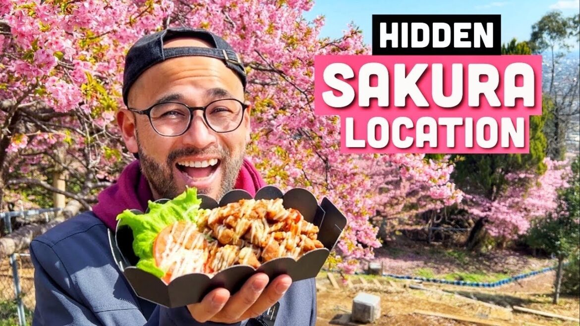 Street Food & Stunning Sakura 2025 | Perfect Tokyo Day Trip