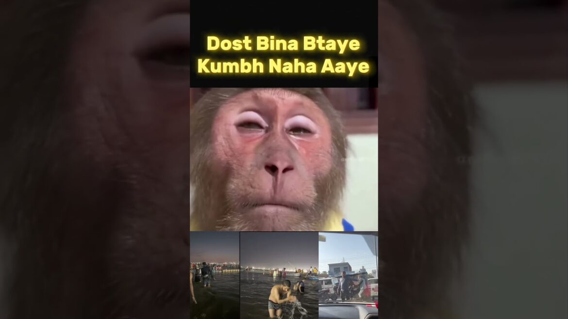 MONKEY feeling sad ,Dost bina btaye kumbh naha aaye #shorts #shortvideos #shortsfeed #travel