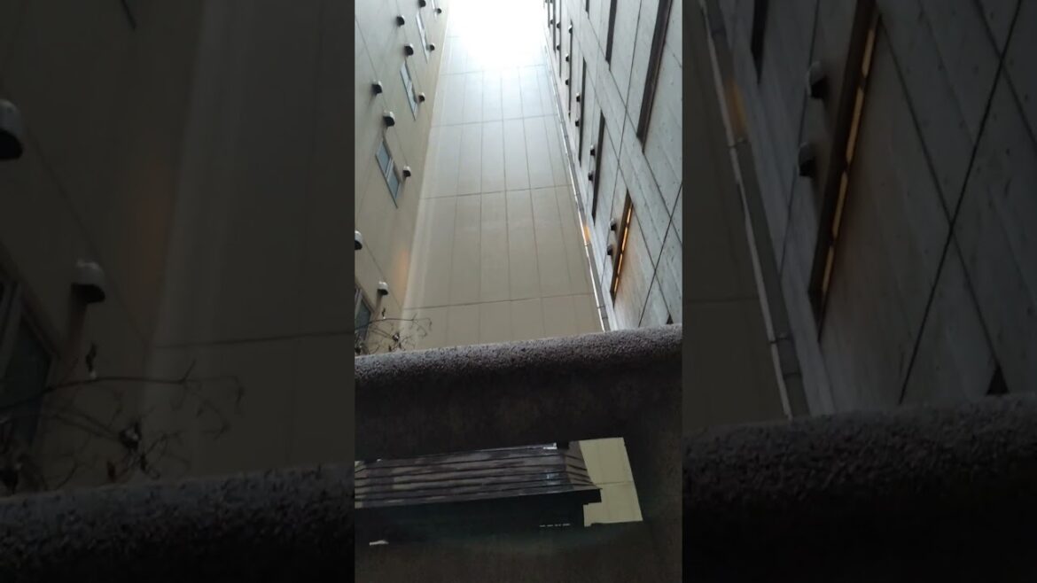 The Akihabara (Akiba) Hidden shrine September 27, 2024 The Akihabara (Akiba) Hidden shrine September 27, 2024